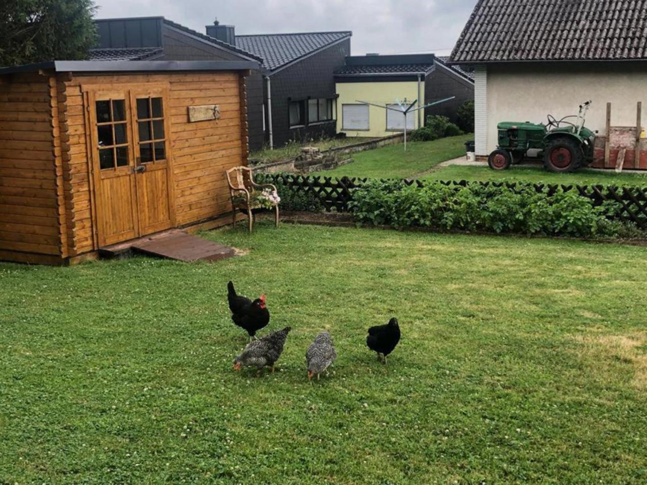 Yn E Homeie Baar  Eksteriør bilde